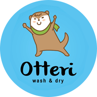 OTTERI WASH & DRY
